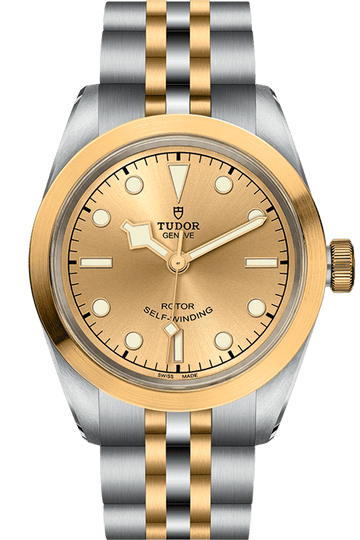 Tudor Black Bay 32 S&G Ref - M79583-0002